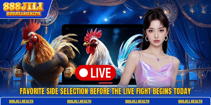 Favorite side selection before the live fight begins today