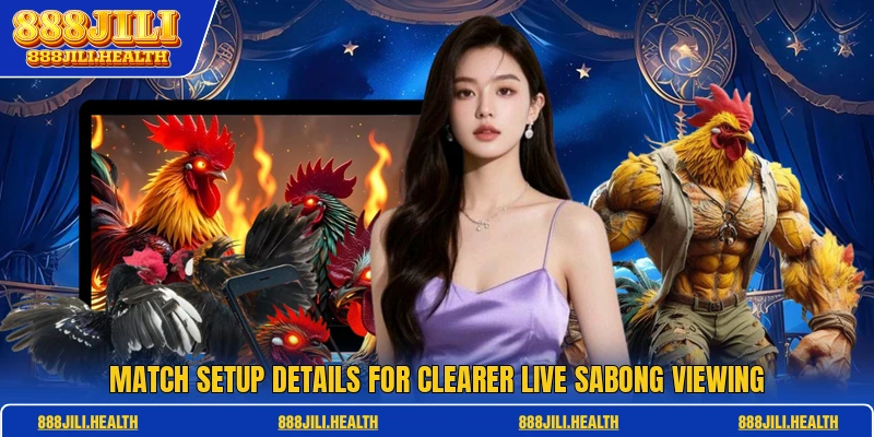 Match setup details for clearer live sabong viewing